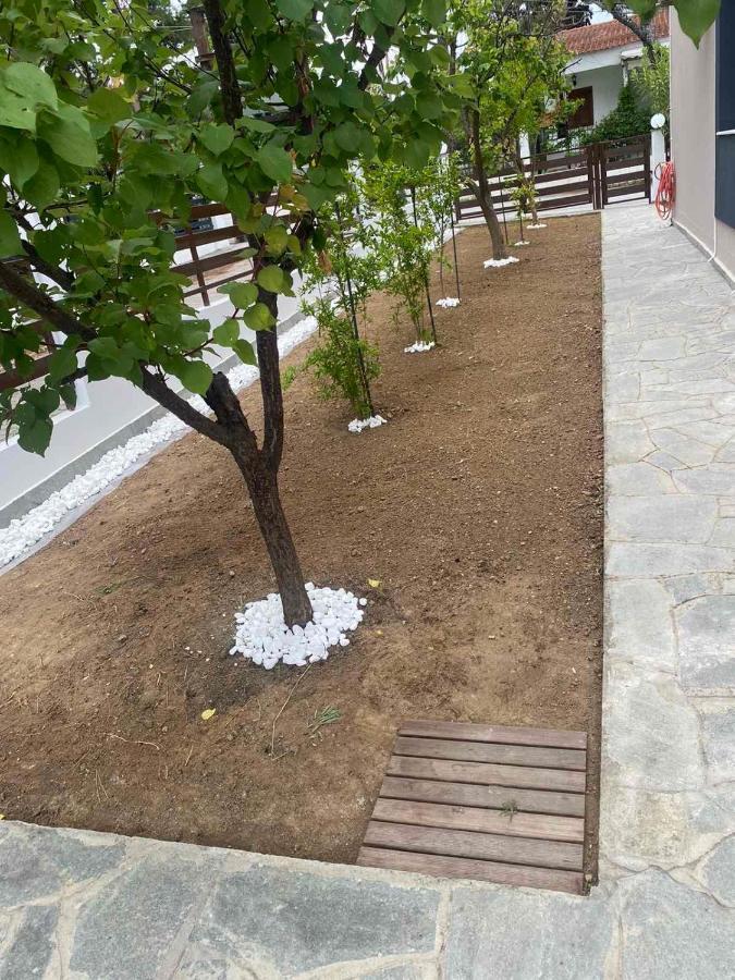 R Lux Villa Nea Kallikrateia Luaran gambar