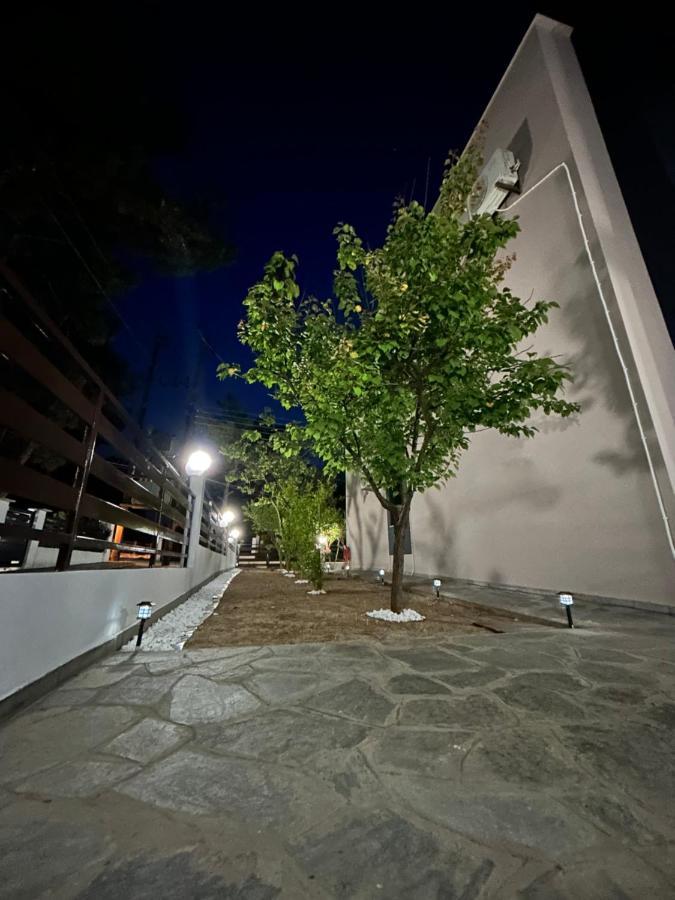 R Lux Villa Nea Kallikrateia Luaran gambar